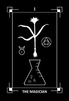 the magician